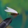 Coachmen Wet Fly