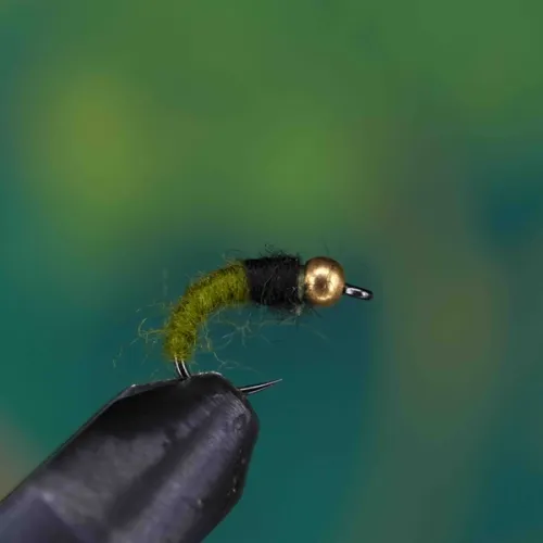 Gold Head Black Green Body