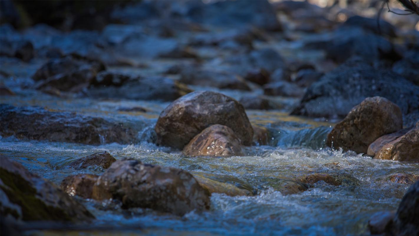 Fliegenfischen mit Herz