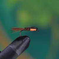 Sawyer's Orange Pheasant Tail