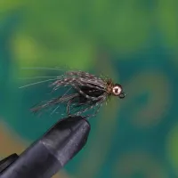 Black and Blue Partridge