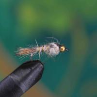 Gold Ribbed Hares Ear