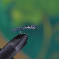 Sawyer's Grey Goose Nymph