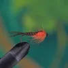 Orange Thorax Pheasent Tail
