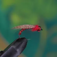 Grayling Torpedo Red