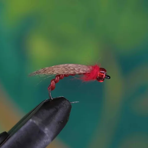 Grayling Torpedo Red