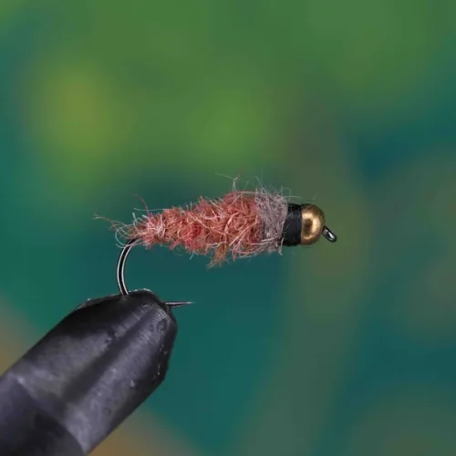 Heavy Hairy Brown Nymph