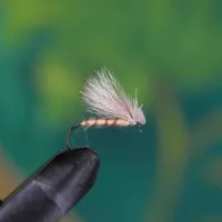 Streakling Caddis Tan