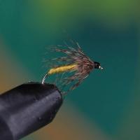 Partridge Yellow Spider