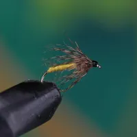 Partridge Yellow Spider