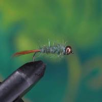 General Pattern Green