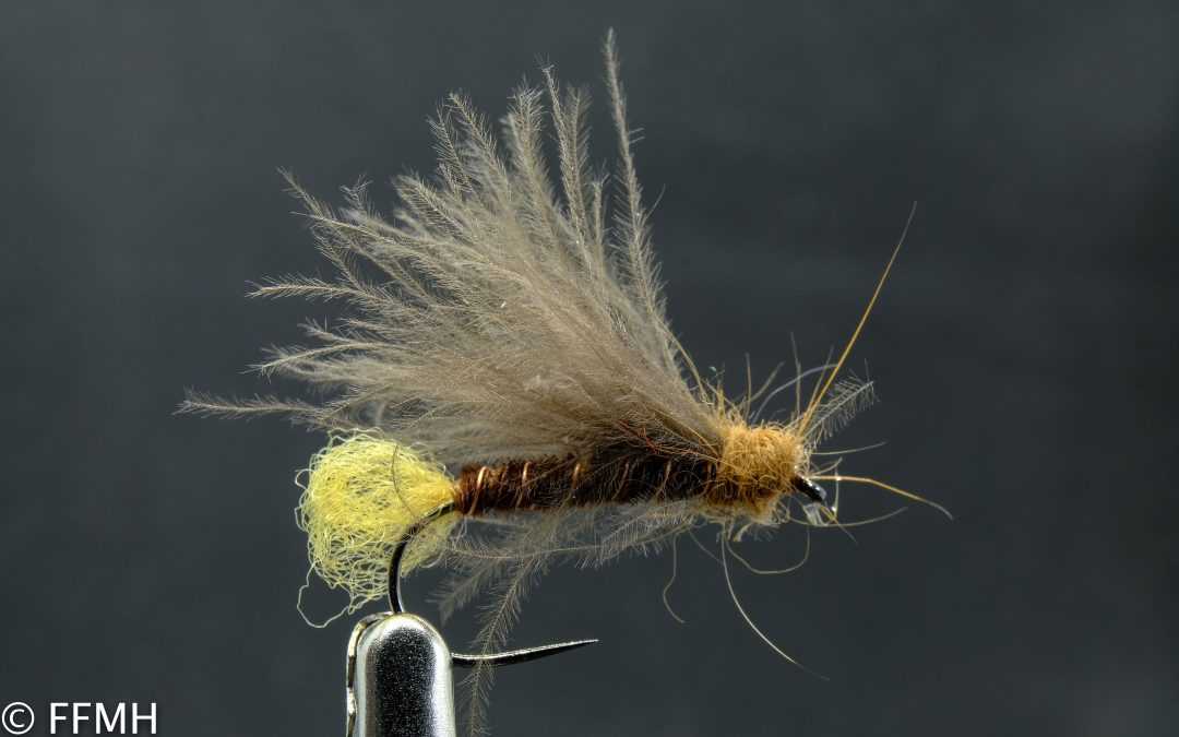 CDC Stonefly