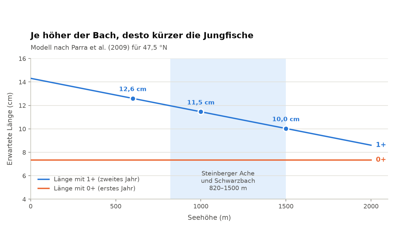 Erwartete Länge der Altersklassen 0+ und 1+ nach dem Modell von Parra et al. (2009) in Abhängigkeit von der Seehöhe
