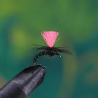 Black Magic Klinkhammer