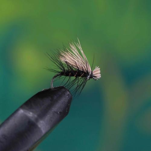 Elk Hair Caddis Black