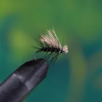 Elk Hair Caddis Black
