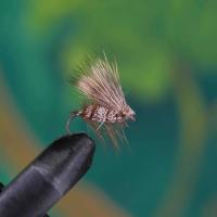 Irresistible Elk Hair Caddis