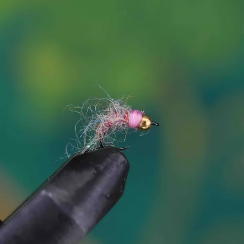 Pink Squirrel Nymph