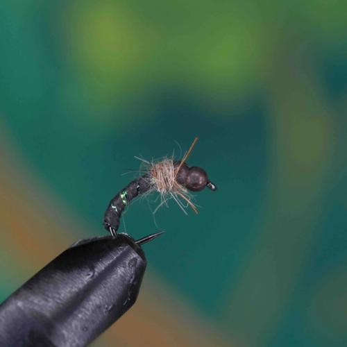 Grayling Torpedo Black