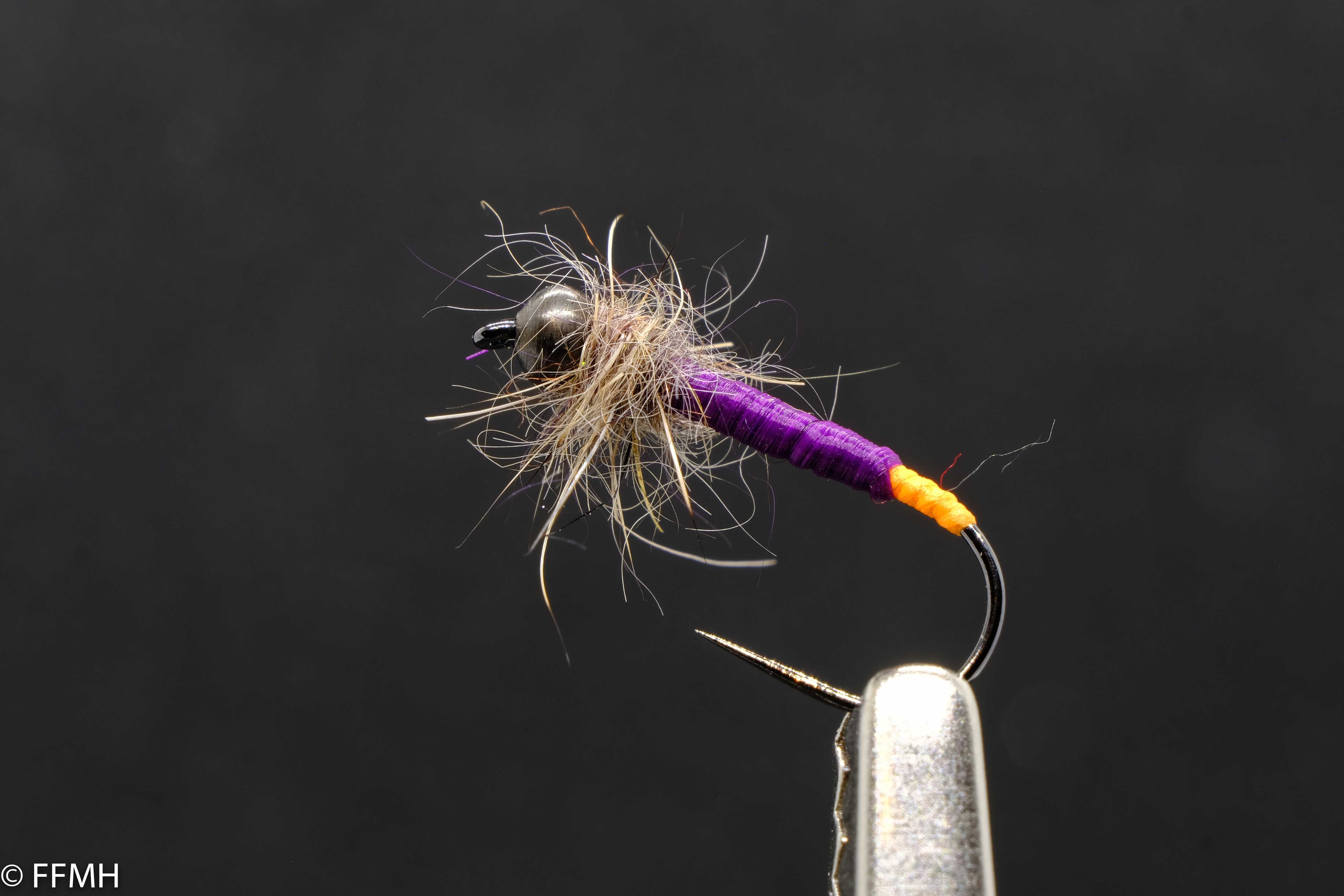 Matt Gold Head Purple Body Orange Tail