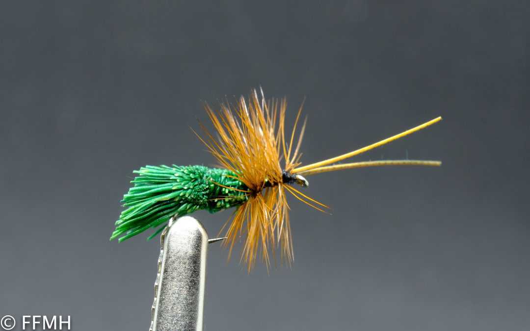 Goddard Caddis Green