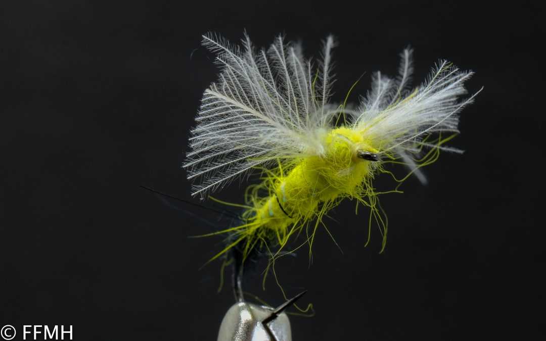 Delta Wing Stonefly