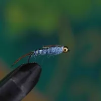 Broad Pheasant Tail Nymph Attractor