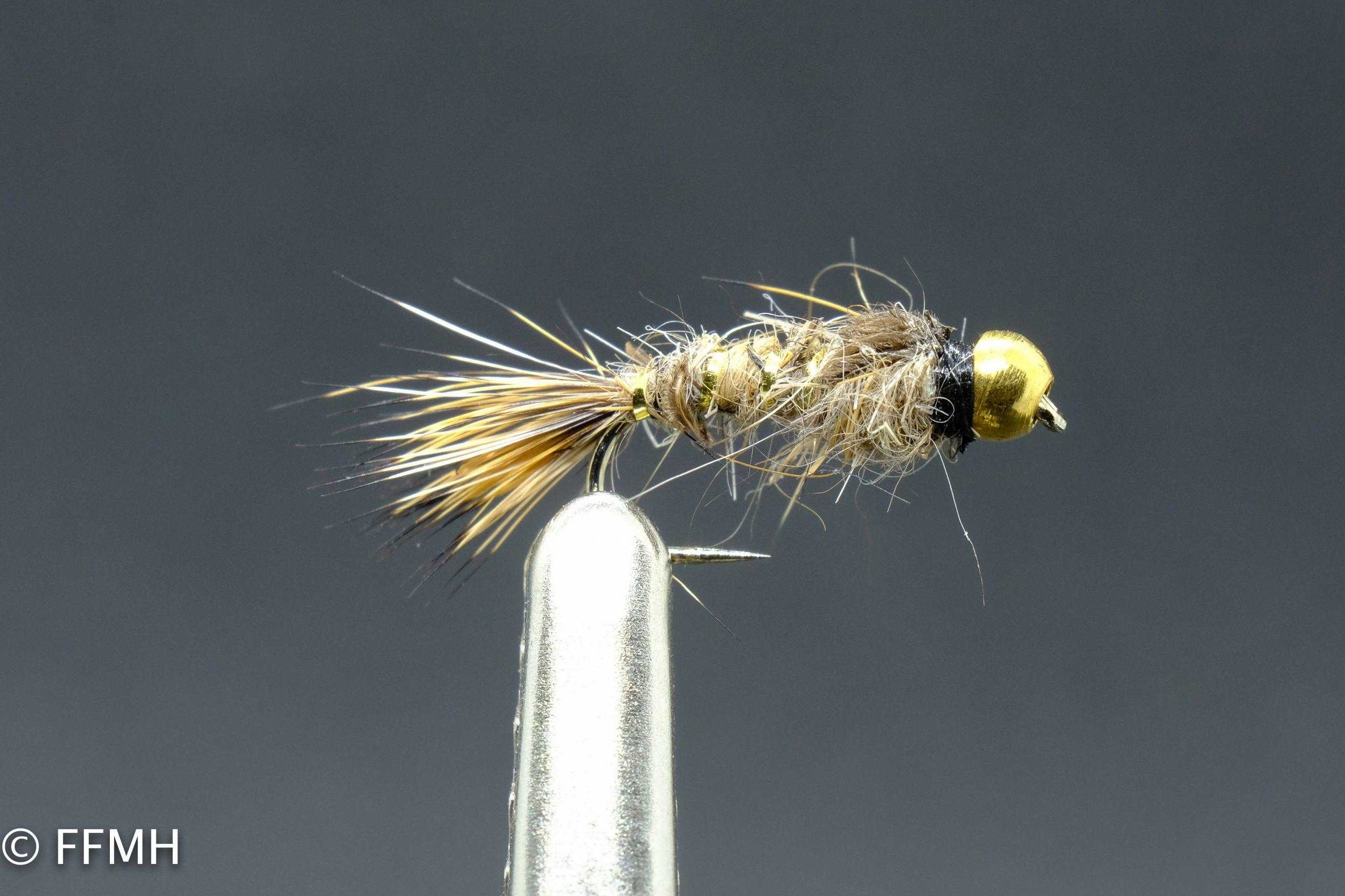 Gold Ribbed Hares Ear