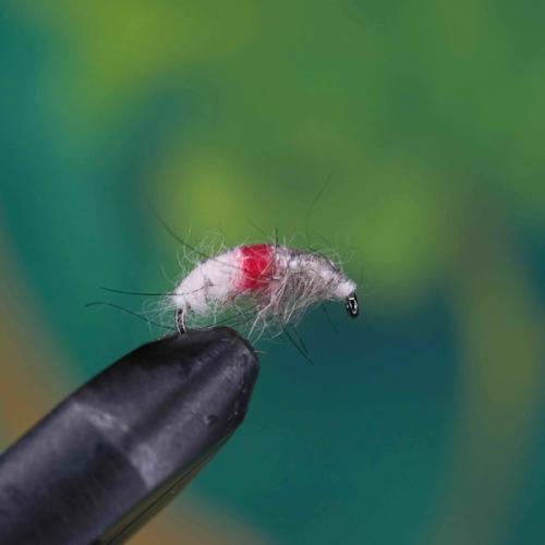 Czech Nymph Cream Red