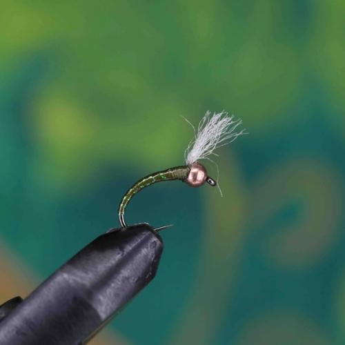 Gold Head Glass Olive Epo Curved