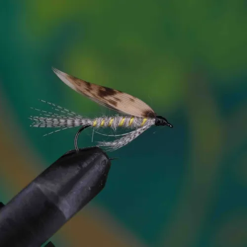 March Brown Wet Fly