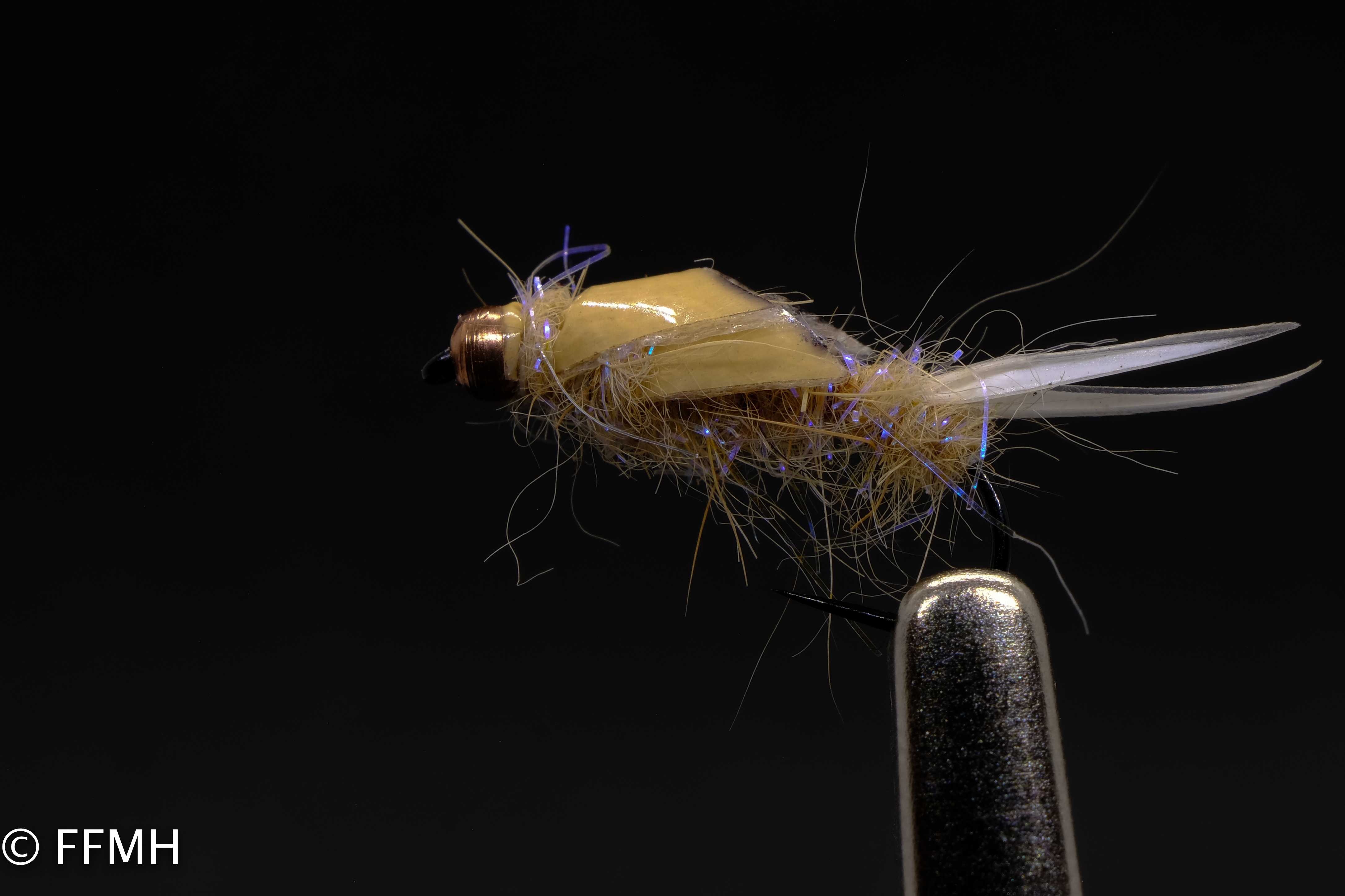 Minimal Pattern Cased Nymph