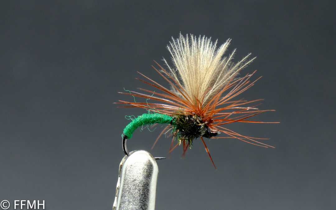 CDC Klinkhammer Green