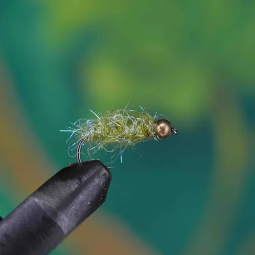 Minimal Pattern Green Nymph