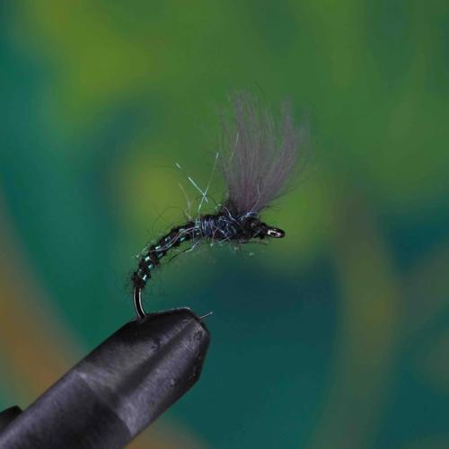Grayling Midge Ribbed