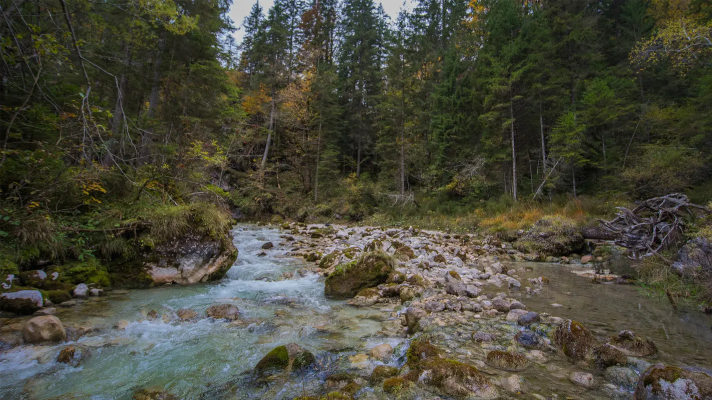 Fliegenfischen mit Herz