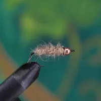 Copper Nymph