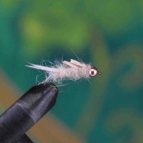 Minimal Pattern Cased Nymph