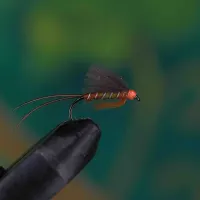 Blue Winged Olive Nymph