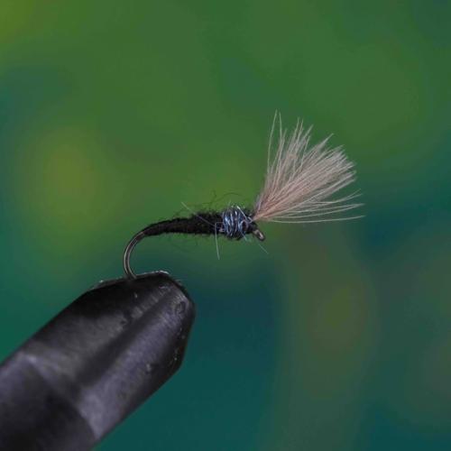 CDC Micro Midge