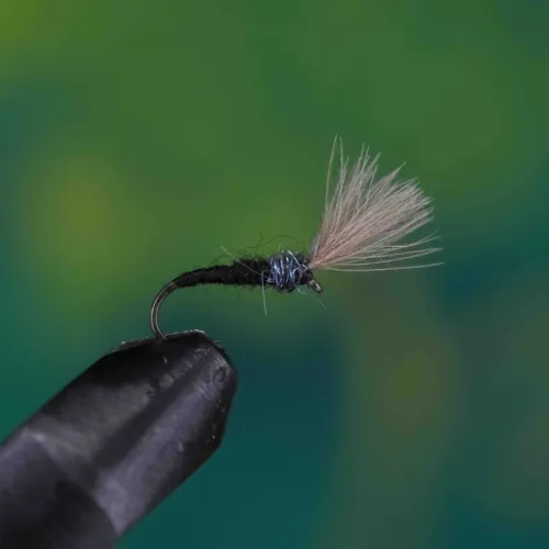 CDC Micro Midge