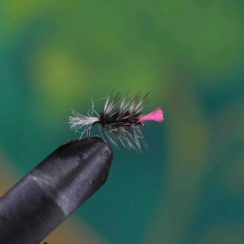 Hi-Vis Griffiths Gnat