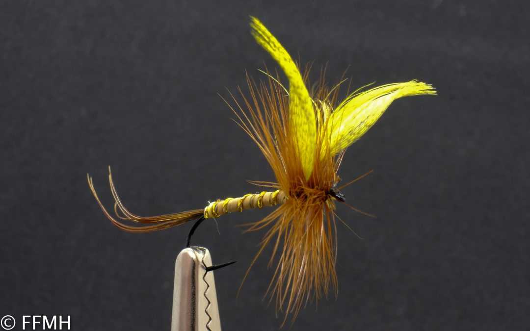 Yellow Drake May Fly