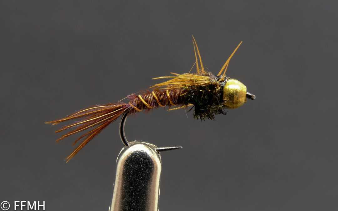 Gold Head Pheasant Tail