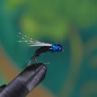 Blue Hairy Nymph