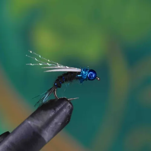 Blue Hairy Nymph