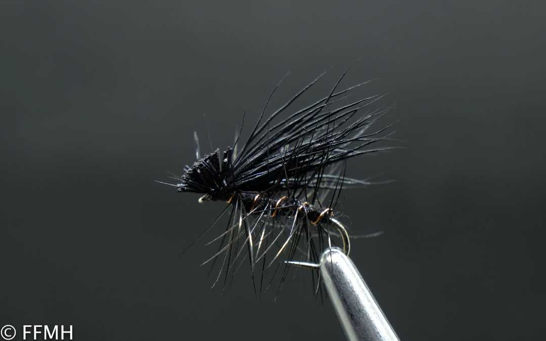 Elk Hair Caddis All Black