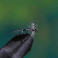Blue Dun Grey Midge