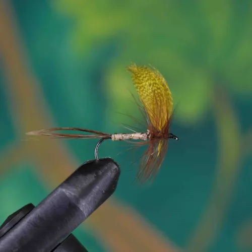 Yellow Drake May Fly
