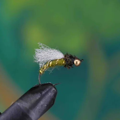 Olive Caddis Pupa Emerger